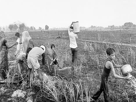 The fire burned 150 acres of sugarcane crop