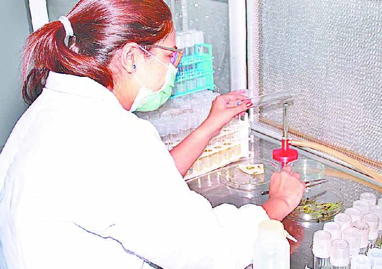 krishi shiksha