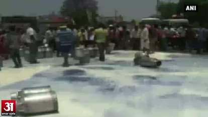 Dairy farmers spill milk down the drain to protest against OMFED