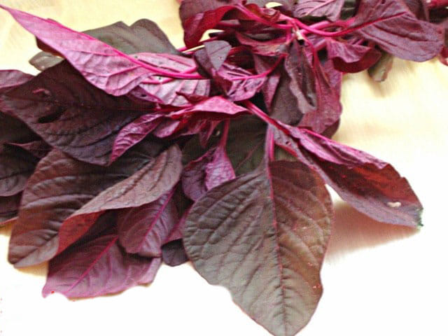 5 thing not to eat on sunday 