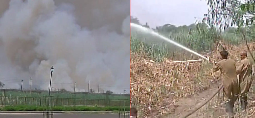  Fire break out in forest area near coronation park in Delhi's Mukherjee Nagar area in delhi 