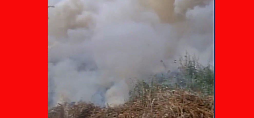  Fire break out in forest area near coronation park in Delhi's Mukherjee Nagar area in delhi 
