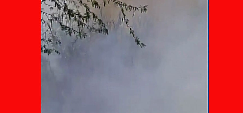  Fire break out in forest area near coronation park in Delhi's Mukherjee Nagar area in delhi 