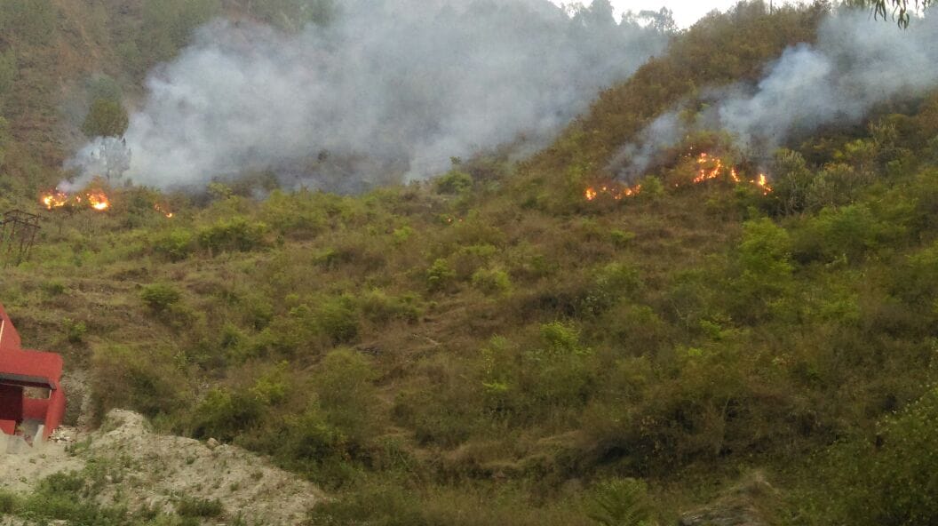 Fire has engulfed a large forest stretch along the LoC in poonch