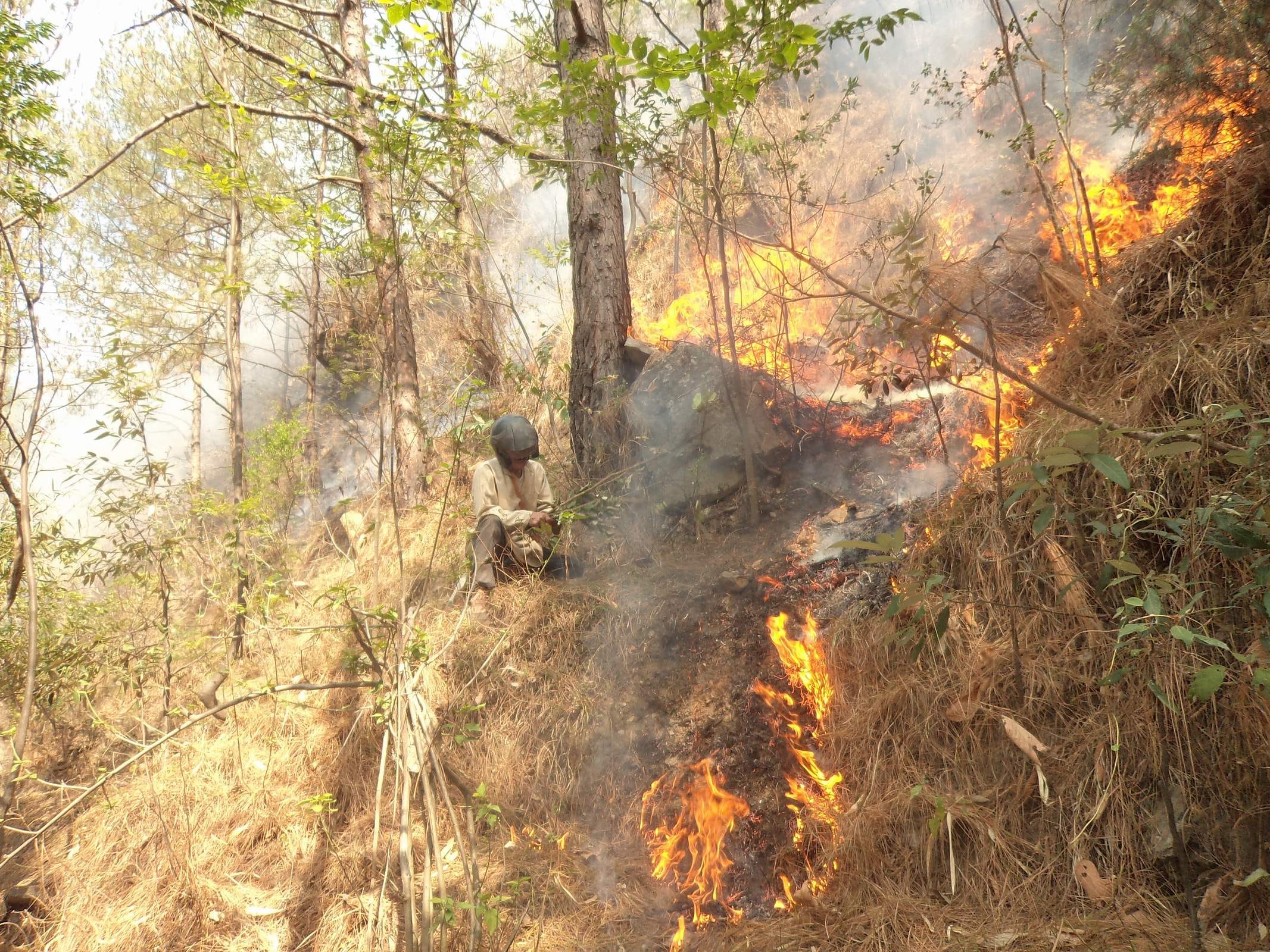  Surgical Strike will be on forest fire