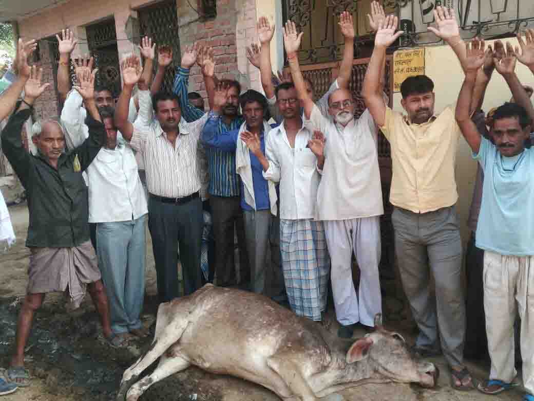 Uproar over the death of 11 Govanshon