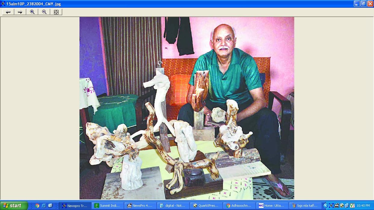 Handicraft Show artist