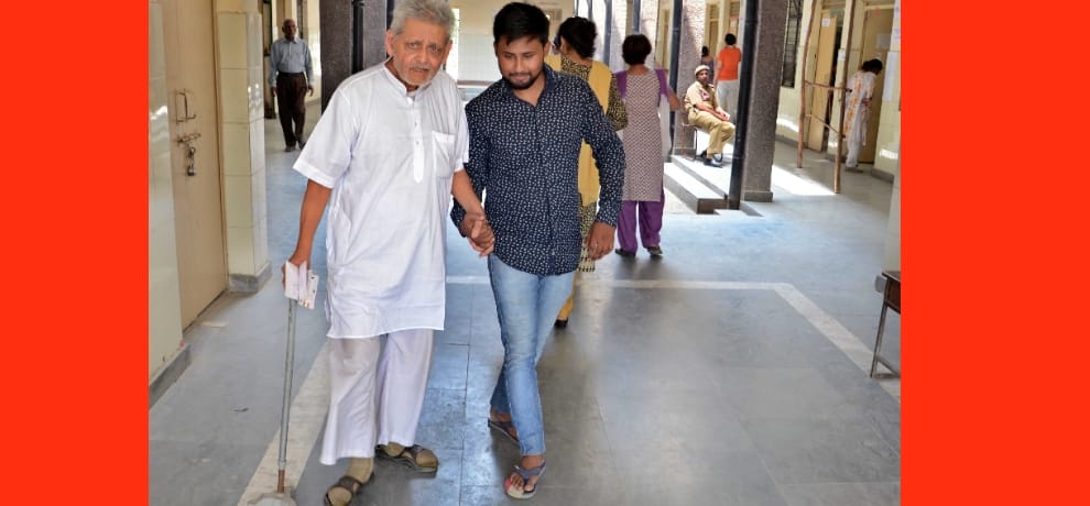 MCD elections: the three parties making up the question of the nose