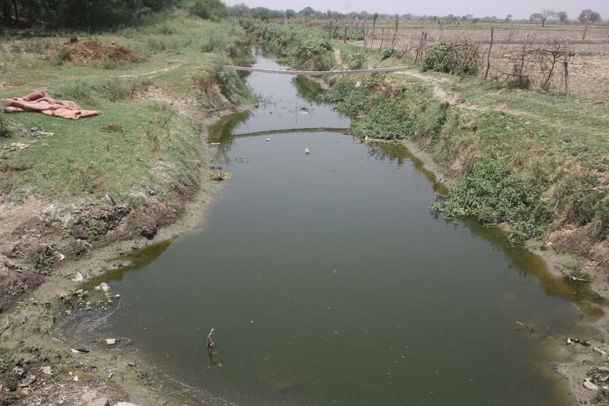 pollution in yamuna