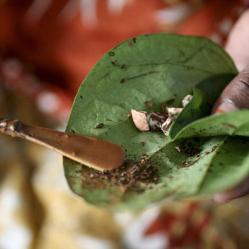 a supari can bring fortune to you home, see how 