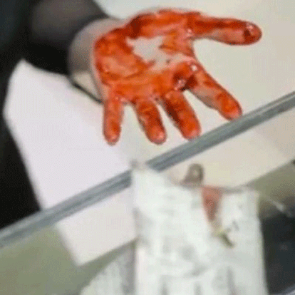 aligator's heart inside a handbag, shopper horrified