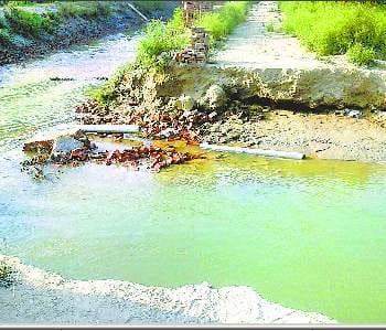 Leaving the water in track the Singhpur canal distributaries cut 