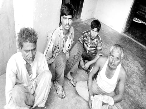 Neat cattle-laden truck and loader caught