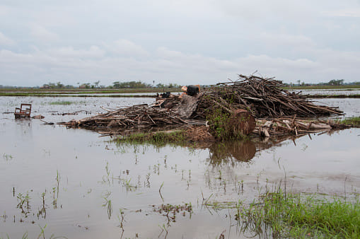 Natural disasters of 21st century that changed the world 