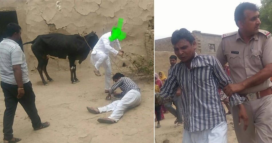 misdeed with cow, boy misdeed with cow, man beated by public, fatehabad
