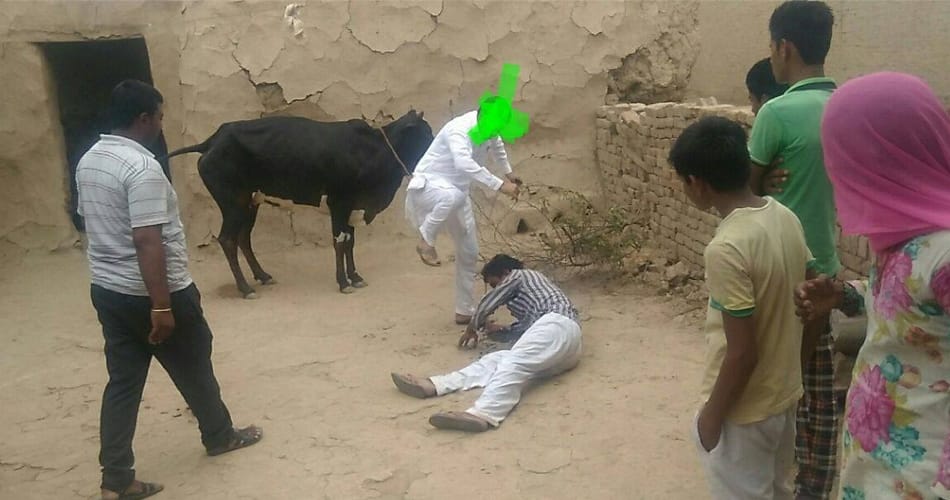 misdeed with cow, boy misdeed with cow, man beated by public, fatehabad