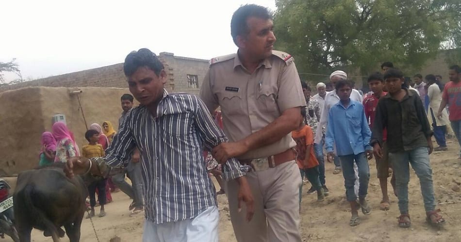 misdeed with cow, boy misdeed with cow, man beated by public, fatehabad