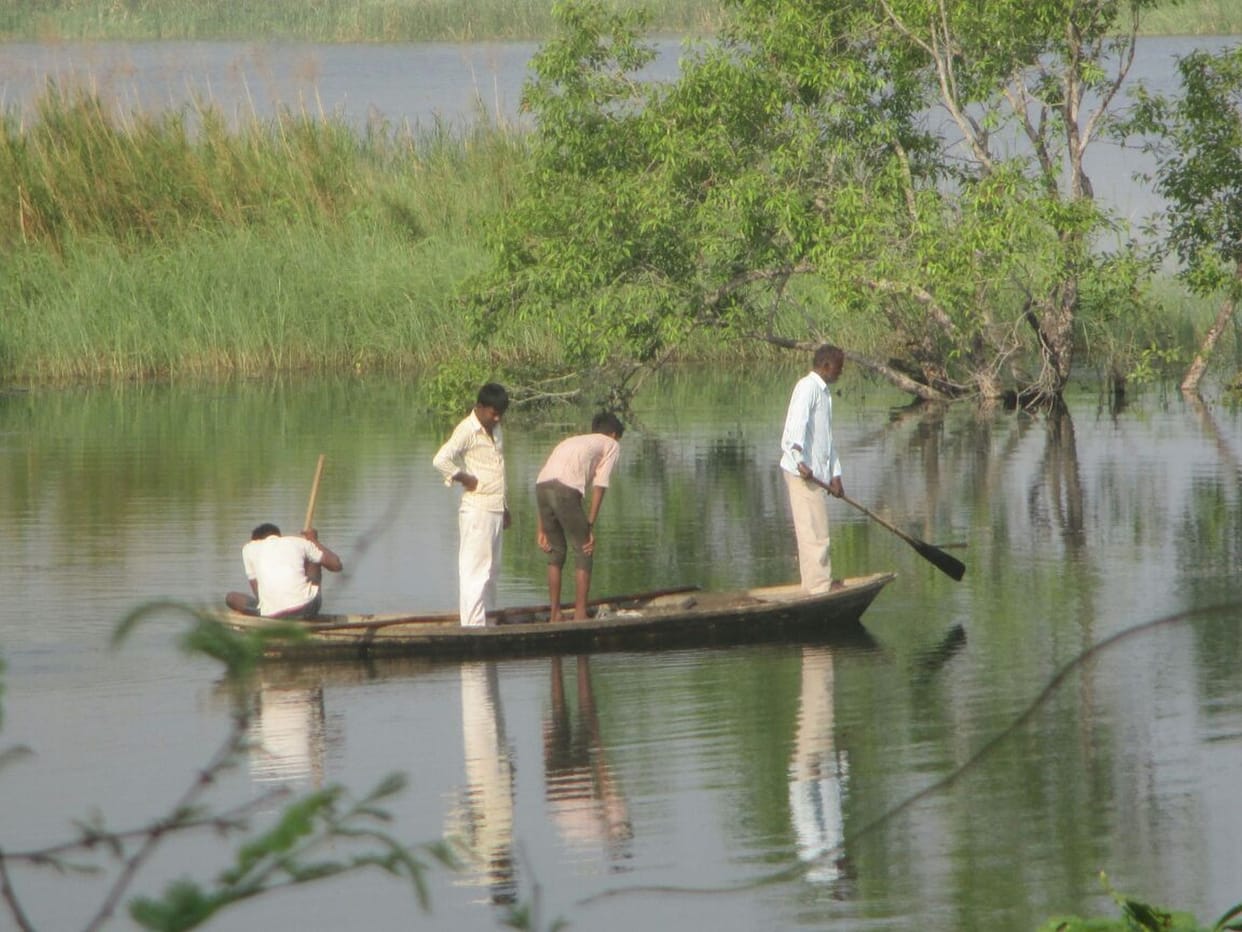 crocodile eat the man in bahraich