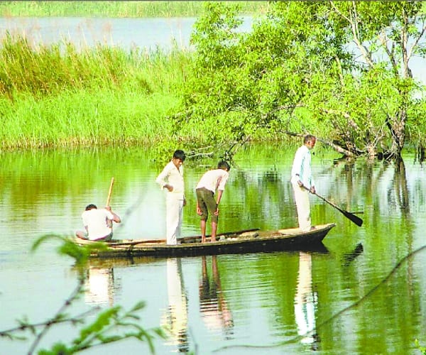  A crocodile pulled a man in water in Bahraich.