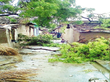 tree fall in railway track due to storm