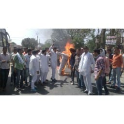 cm dool, frire, protest, goverment