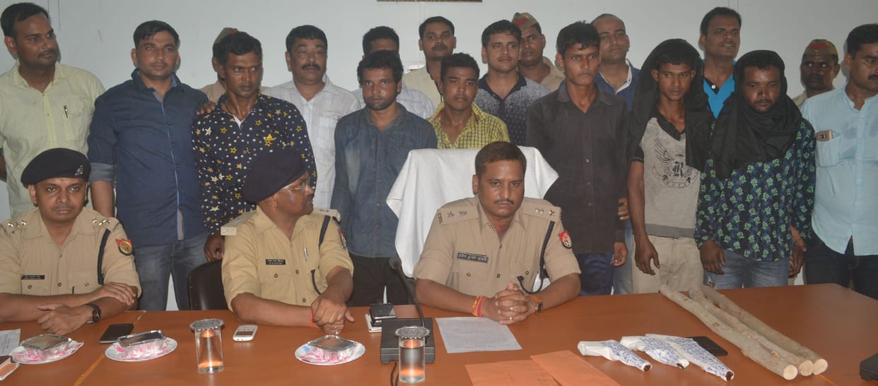And six mobster kingpin arrested
