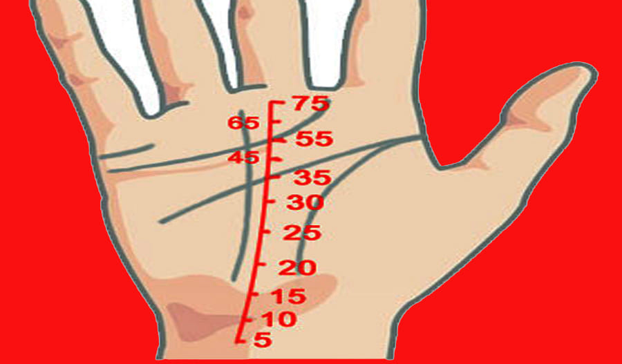 palmistry fate line and money