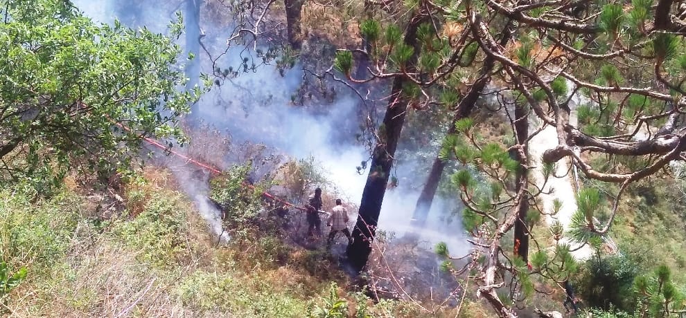 forest fire at kasauli.