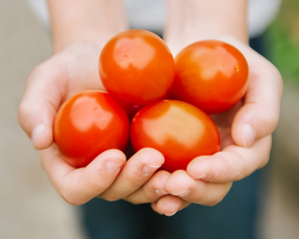 super food to treat your skin better
