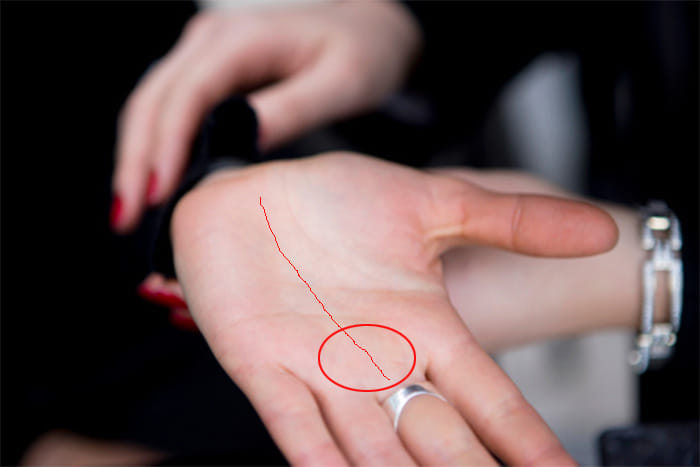 palmistry fate line and money