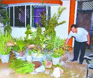 Youth attack in Sai hostel  
