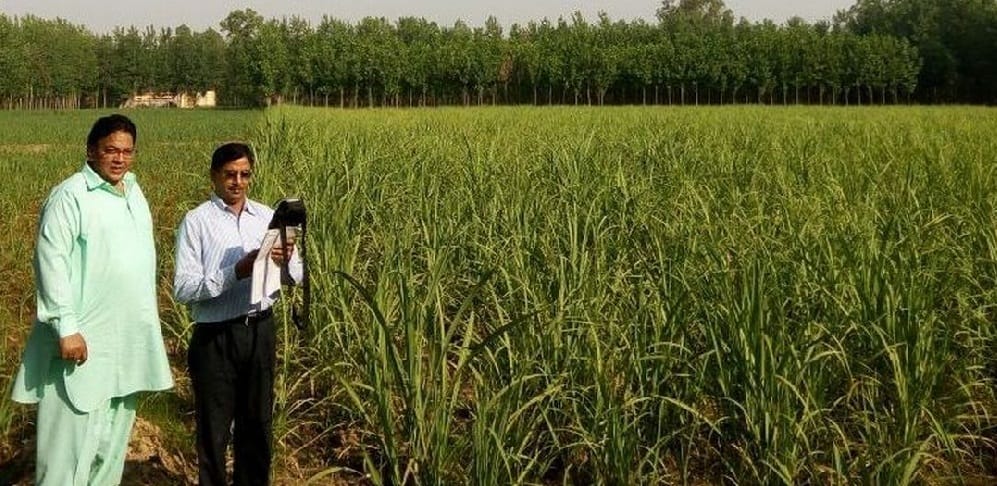 now the survey of sugarcane will be with GPS 