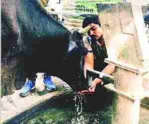 Heat wave very troublesome
