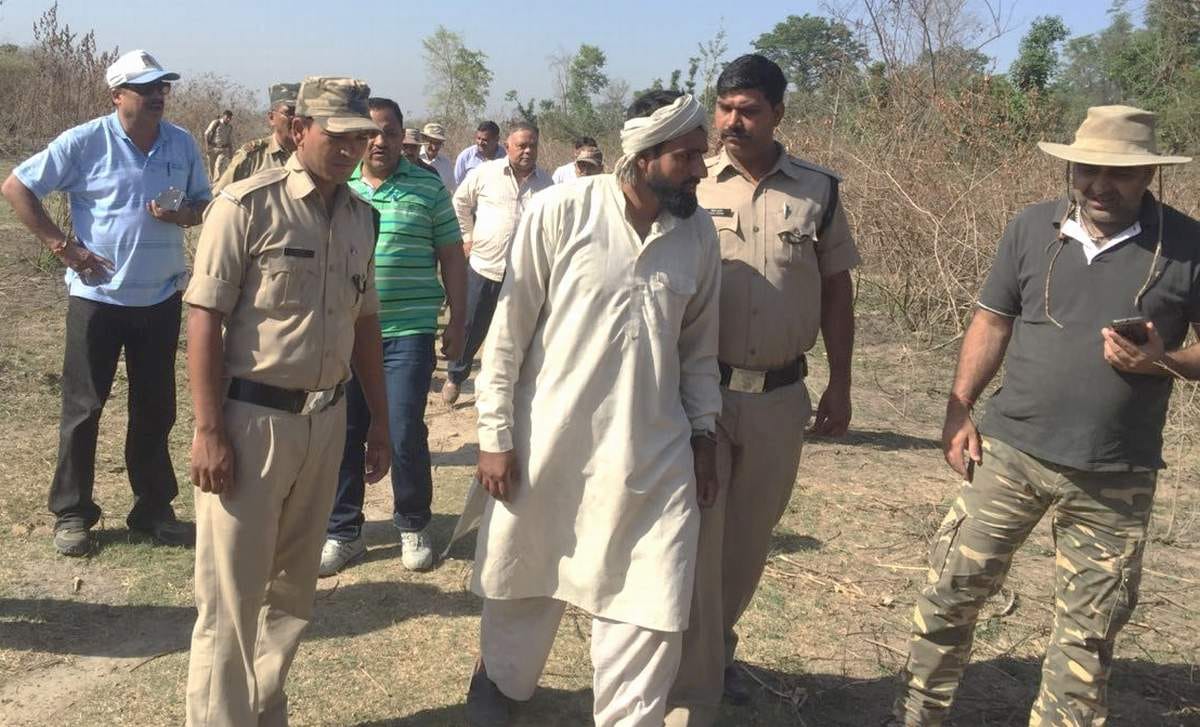 Many more Tigers were also on target