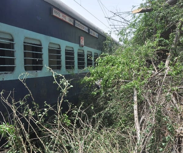 A tree fallen at Pushpak Express in Lucknow.