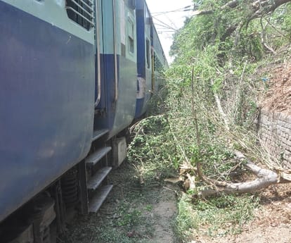 A tree fallen at Pushpak Express in Lucknow.
