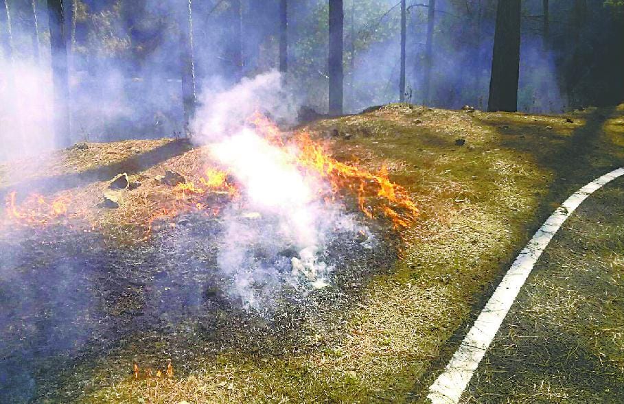 again fire in forest.