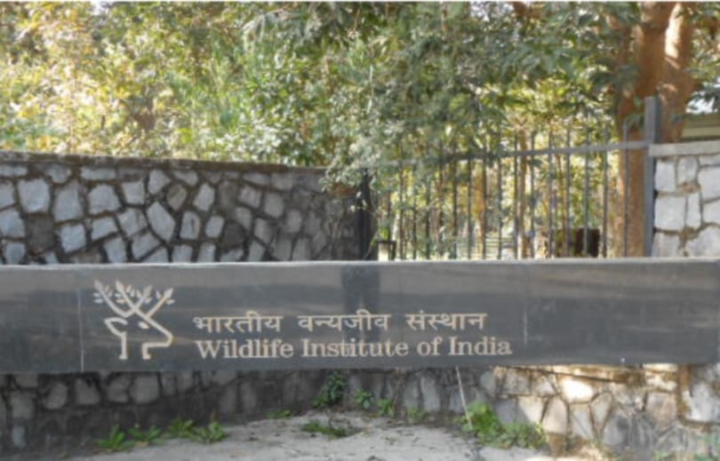 wildlife institute of india conservation program for rare species.