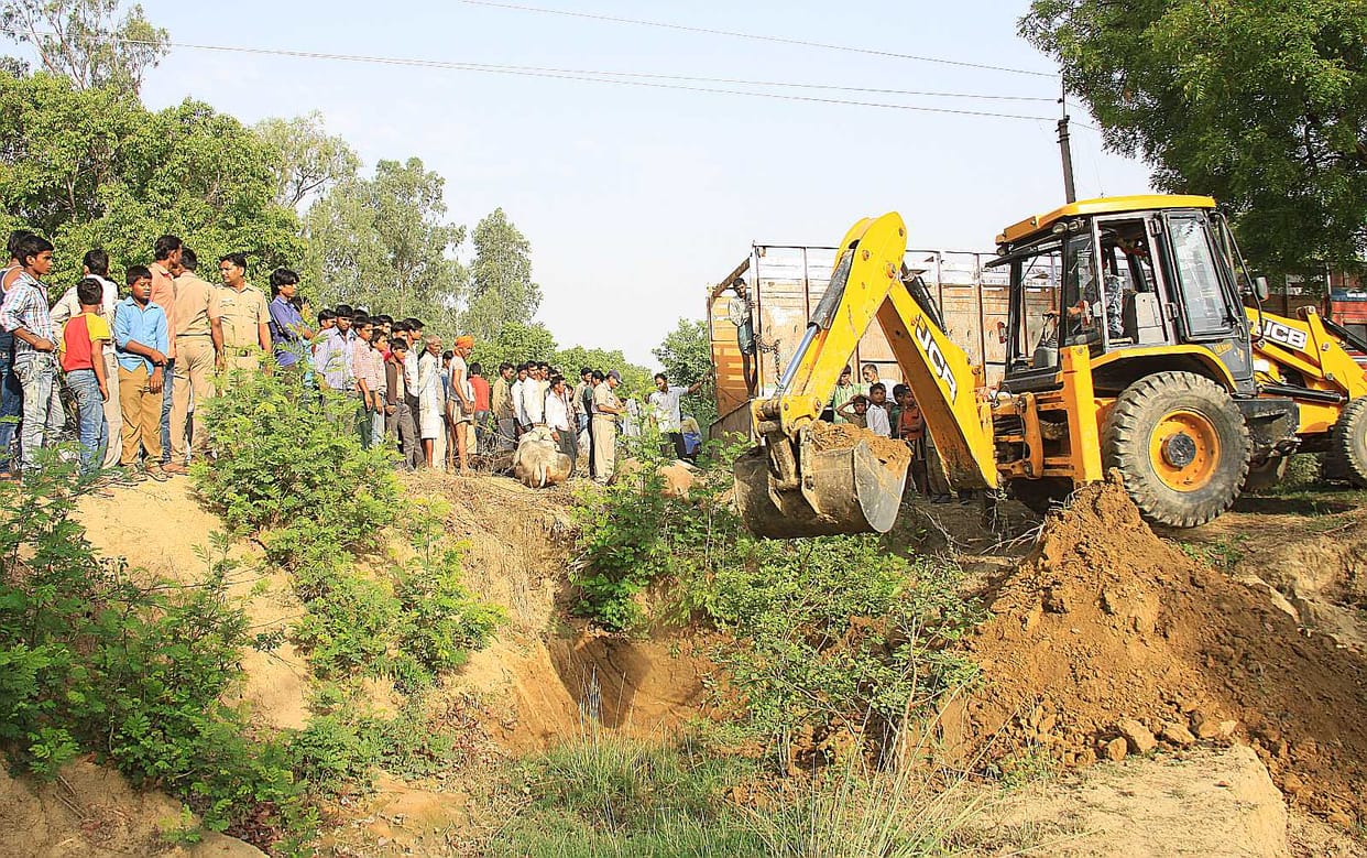 JCB caught on illegal mining, later released