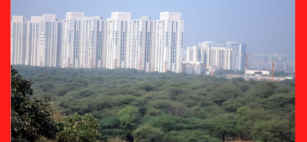 aravali turning into concrete jungles 