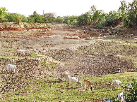 Kanbu pond culpable
