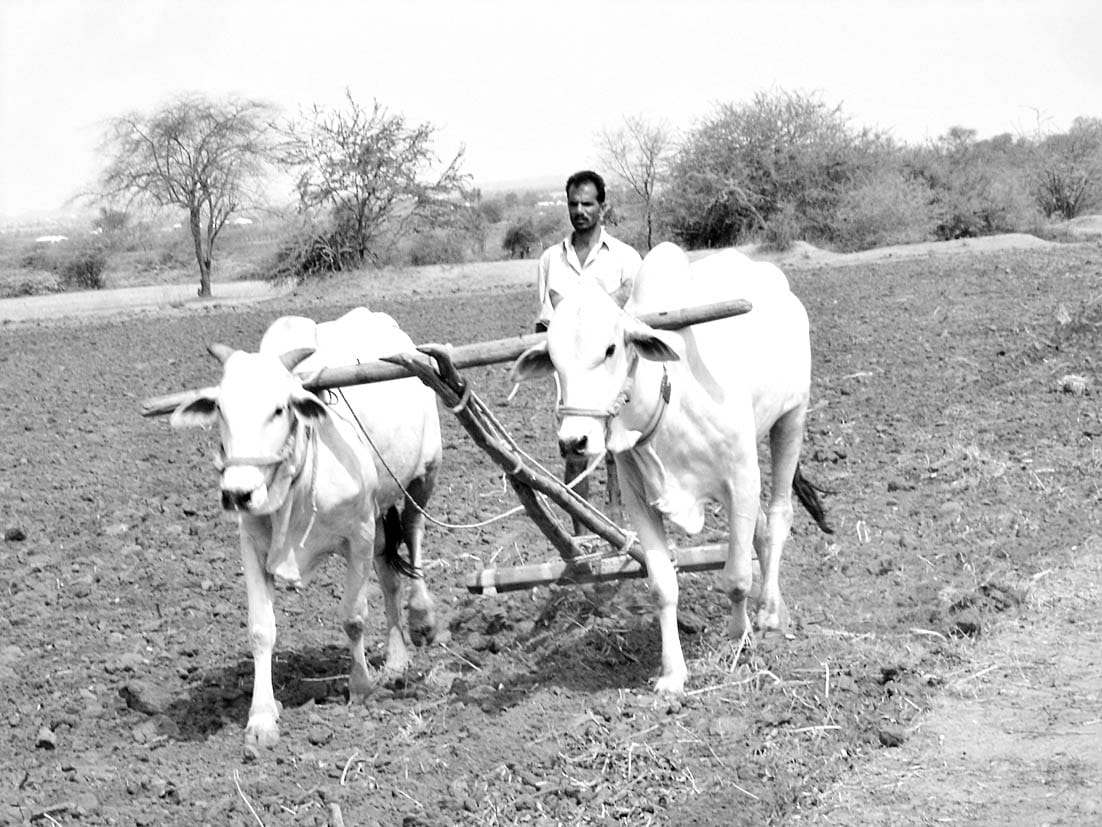 Prediction about good monsoon