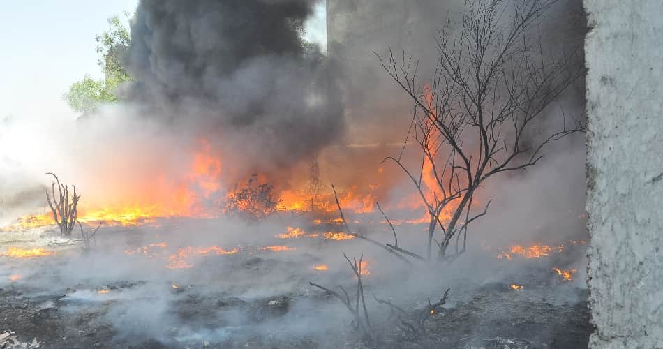 fire incident, sanatory go down fire incident, jalandhar fire incident, punjab, jalandhar