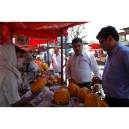 sonepat news, hindi news, health, team, action, probe, food, sample, sonepat