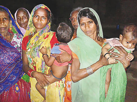 Farmers planted hanging laws