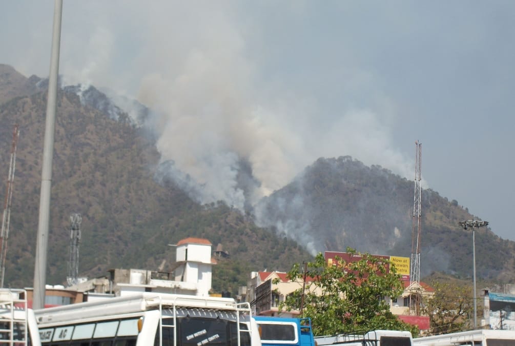 fire in trikuta hill forest area