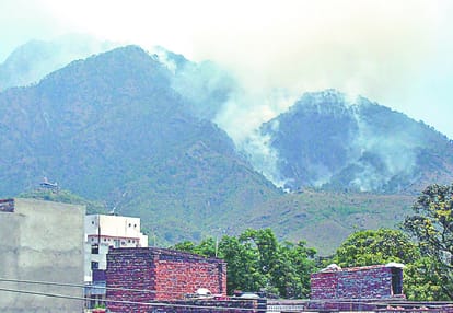 fire in trikuta hill forest area