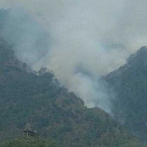 Trikuta hills fire extinguished