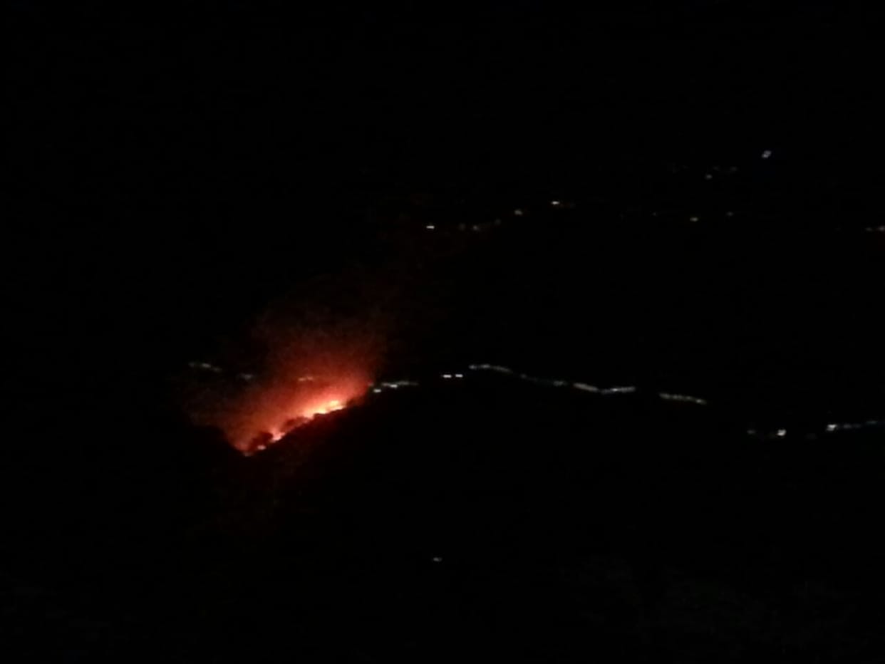 major forest fire in trikuta hill