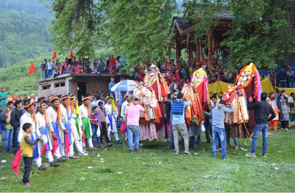dev fesitval